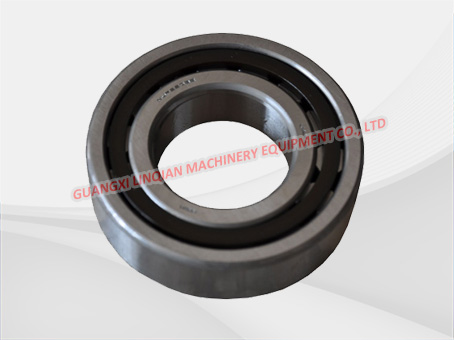 NSK Roller Bearing  22B0006 