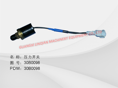 PRESSURE SWITCH 30B0098