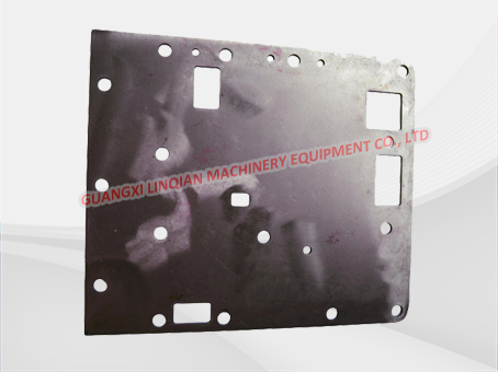 COVER PLATE 4644306363 