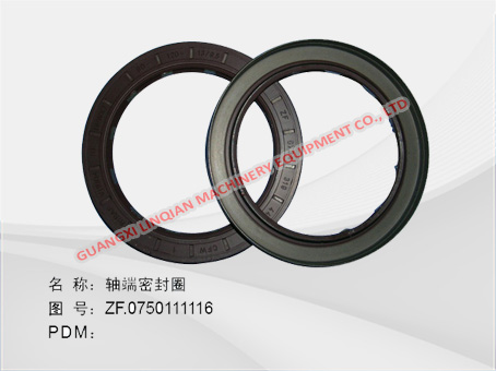 SEAL RING SP100245