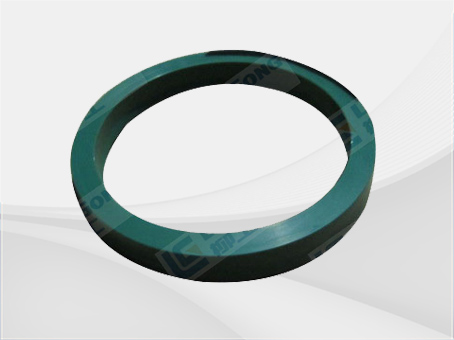 SEAL RING 13B0119