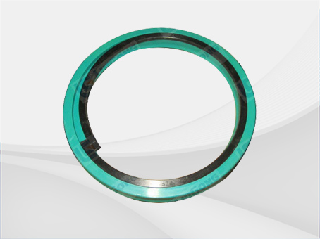 SEAL RING 13B0118