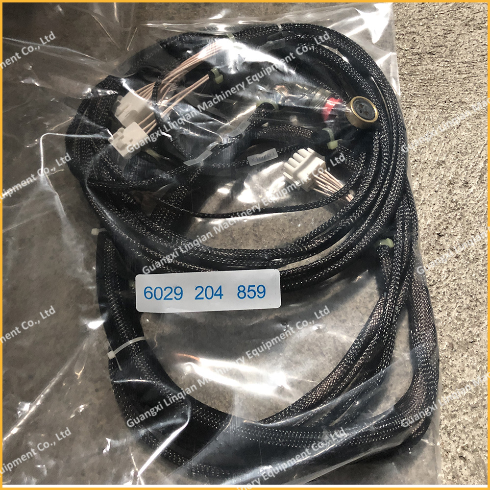 ZF4WG200 harness 6029204859