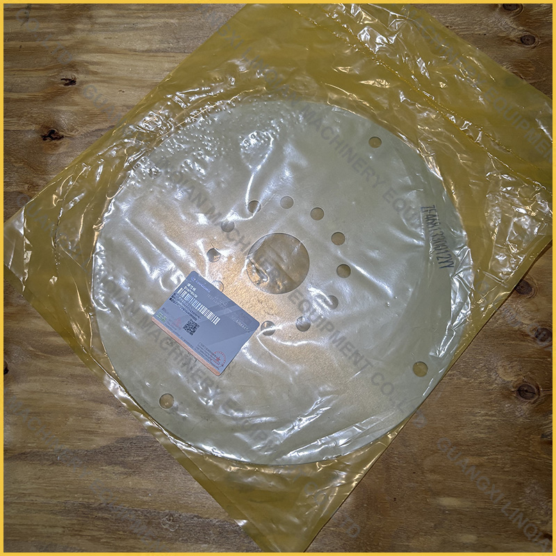 SP206954/ZF.4681330012 DIAPHRAGM